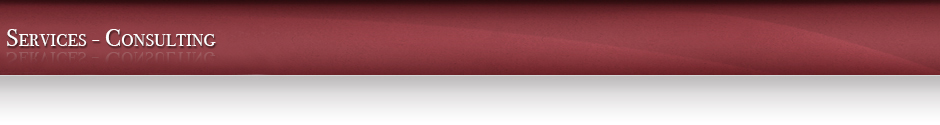 Services - Consulting